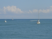 DSC01461