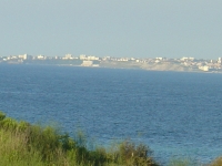 DSC01474