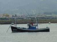 DSC01542