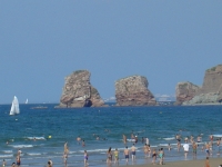 DSC01554