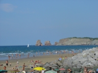DSC01555